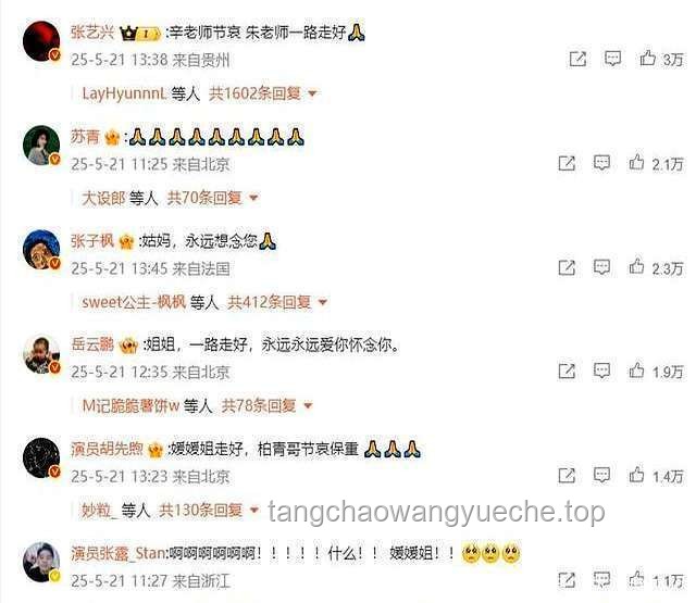 “朱媛媛捐贈事件”真相與謠言對比分析