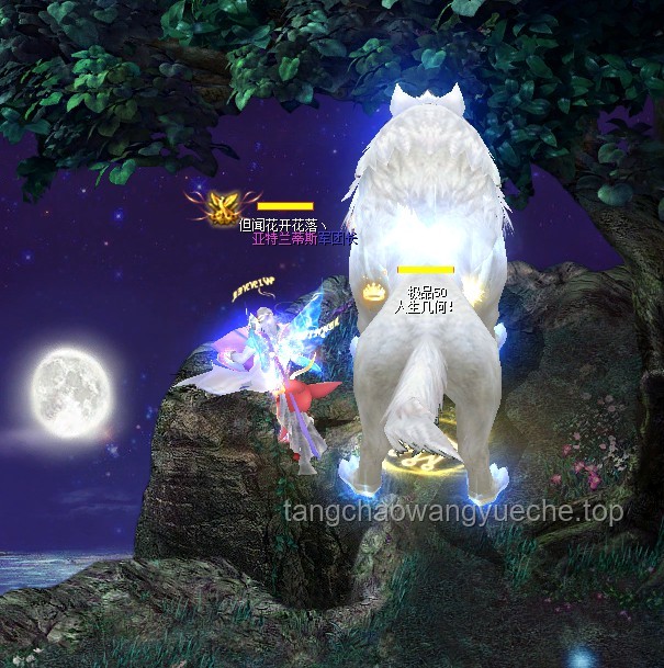 **今夜，無眠！那些與夜晚較勁的日子??**
