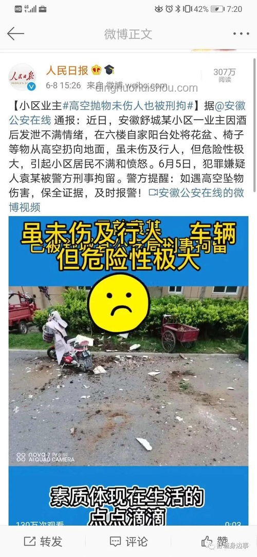 母女高空拋物新解：構(gòu)建社區(qū)安全創(chuàng)新生態(tài)?, 鄰里互助, 技術(shù)防護, 心理健康