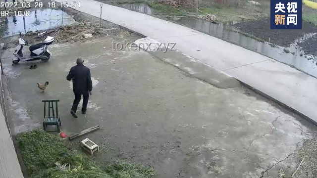102歲老人墜樓被救與常規(guī)墜樓事件的對(duì)比分析：社會(huì)互助與應(yīng)急響應(yīng)