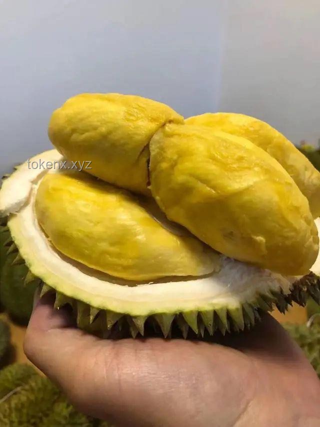 榴蓮價格暴跌50%：搶購與儲存全攻略