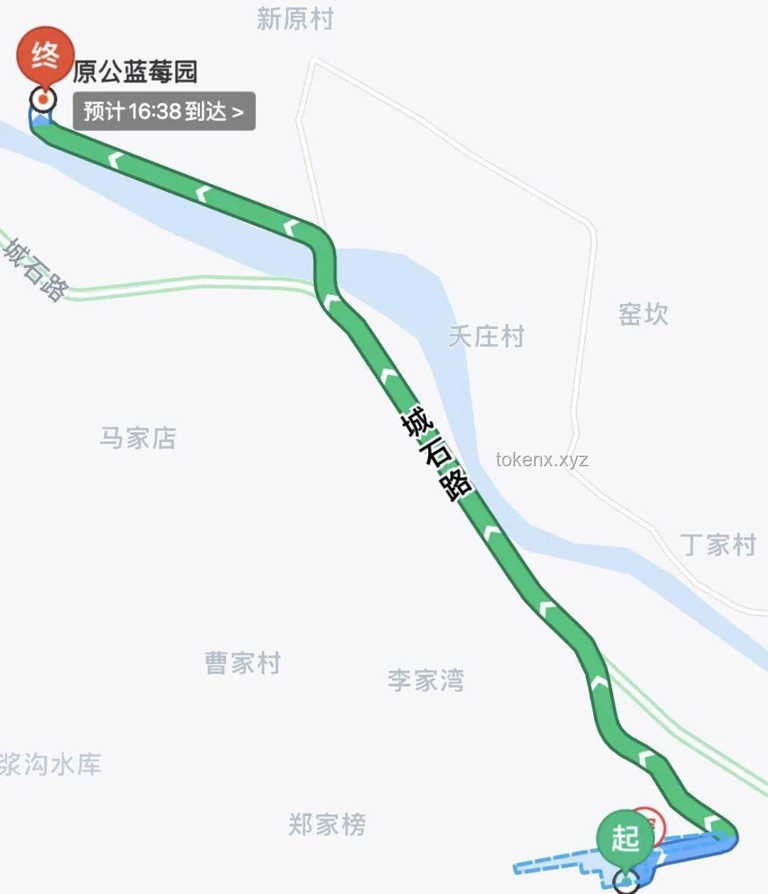 **如何與白鹿共赴一場完美夏日之戀**