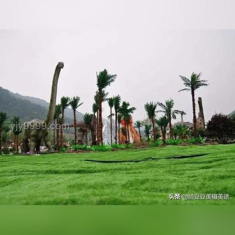 **和白鹿一起戀一個夏天 VS 其他夏日旅行體驗**