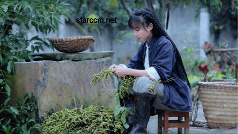 **李子柒手制植物印染長裙出圈：我在手工印染路上的探索與成長**