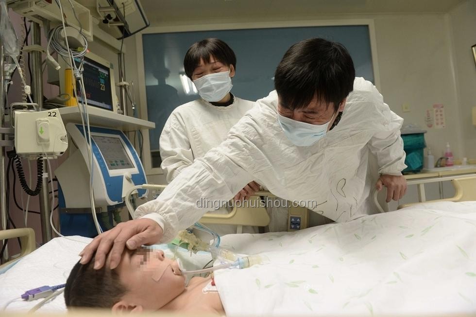 朱媛媛捐贈(zèng)眼角膜及遺產(chǎn)傳聞的澄清與應(yīng)對(duì)方案