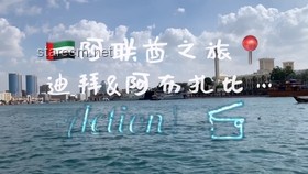 如何應(yīng)對沙特阿拉伯越來越開放的社會變革挑戰(zhàn)