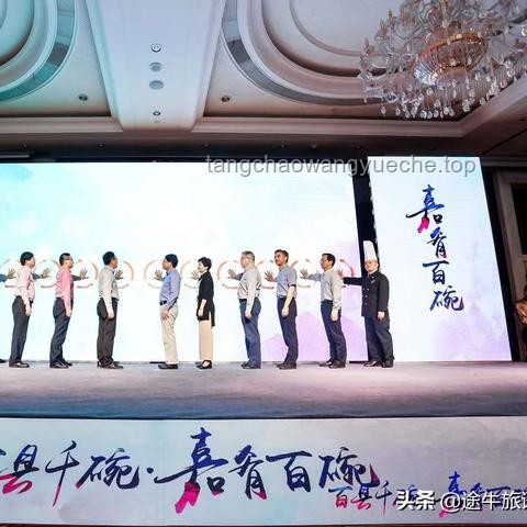**牛總不吃甜的？解鎖寵物牛飲食管理新篇章**