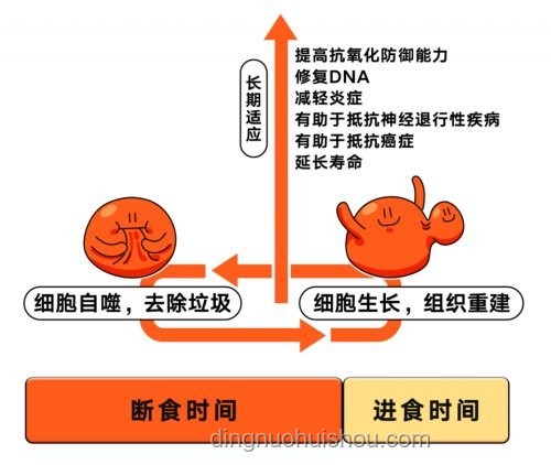 張總不吃酸的：飲食習(xí)慣與企業(yè)決策的微妙關(guān)聯(lián)及市場(chǎng)影響分析
