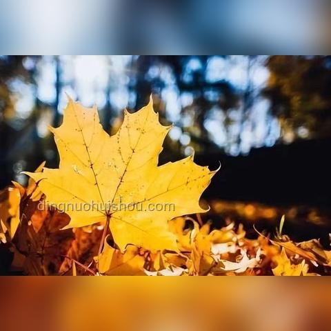 真正厲害的父母，從不用小事內(nèi)耗孩子：深度解析家庭教育的智慧與策略