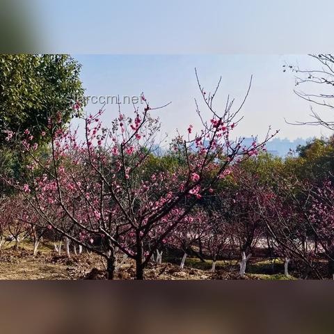 《黑神話：悟空》里探尋的山西古跡之旅，打卡攻略大放送