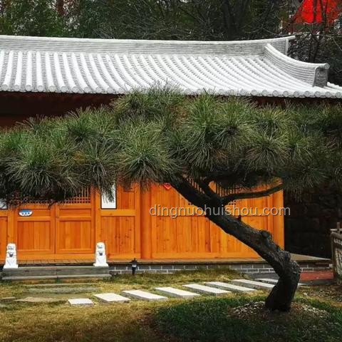 《黑神話：悟空》中的觀音禪院原型與建筑風格對比分析