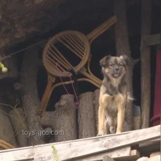 35歲小伙不結(jié)婚，爆改山洞隱居4年：打造個人世外桃源實用指南