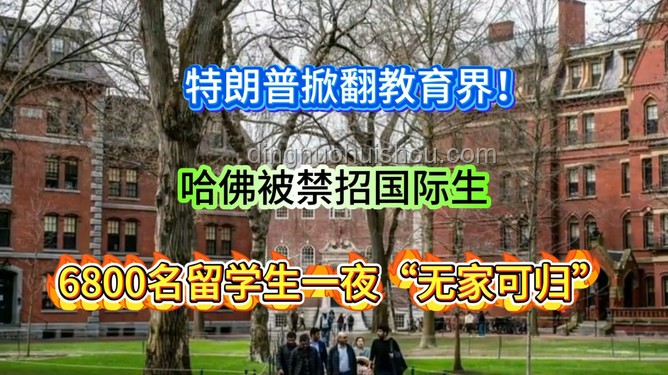 哈佛“國(guó)際禁招令”風(fēng)波：一場(chǎng)教育界的“過(guò)山車(chē)”經(jīng)歷