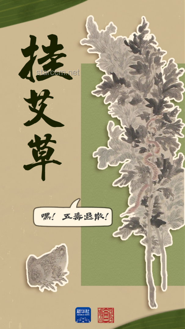 端午文化知多少：龍舟競渡，艾草飄香