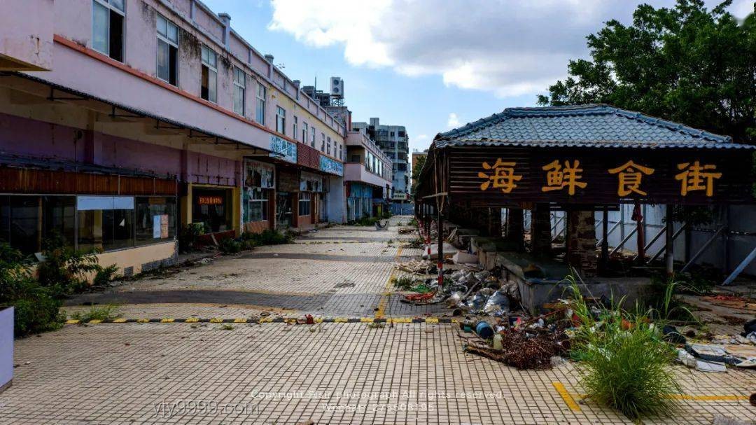 讓我看看誰還沒有史迪咪：史迪奇IP的崛起與未來趨勢