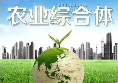 ??三角洲行動：林樹對決中的藝術(shù)創(chuàng)新戰(zhàn)略