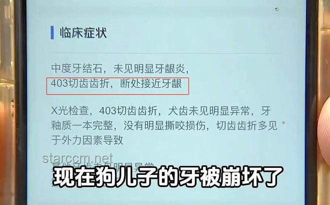 女子立遺囑給寵物狗留遺產(chǎn)：遺產(chǎn)規(guī)劃新趨勢與寵物繼承權(quán)探討