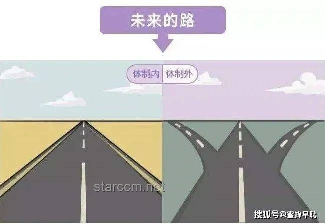 老板現(xiàn)場發(fā)百萬讓員工帶薪收麥：企業(yè)管理新趨勢與員工關(guān)懷深度剖析