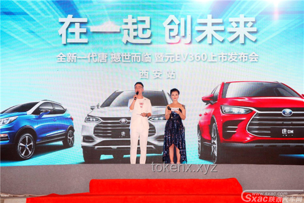 比亞迪：市場風(fēng)云下，絕招盡顯未來之路