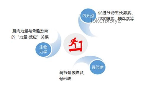 幼兒園跳繩訓練新趨勢：簡單易懂的指導策略助力孩子快速掌握