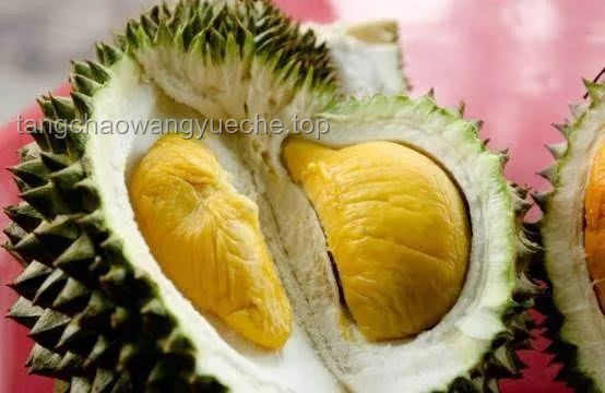 **榴蓮風(fēng)波下的旅行創(chuàng)新思維：解鎖新加坡的“隱形規(guī)則”**