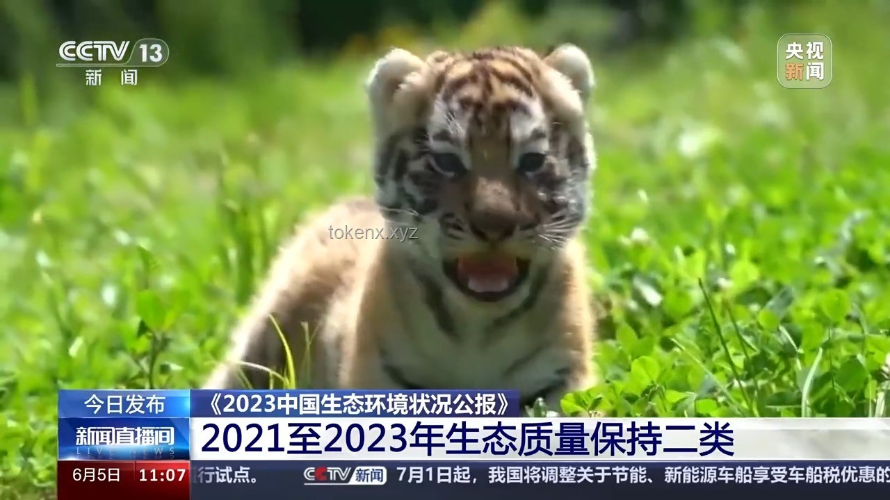 為什么被老虎捕食的生物未進(jìn)化出三色視覺(jué)以提升逃脫率？解決方案探討