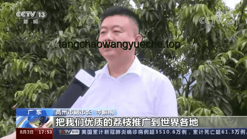 世界市長上?！懊鎸?duì)面”：參與交流全攻略