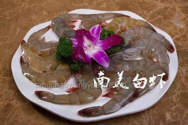 天生自帶鮮味食材大比拼：海鮮、菌菇、肉類與蔬菜的鮮味對決