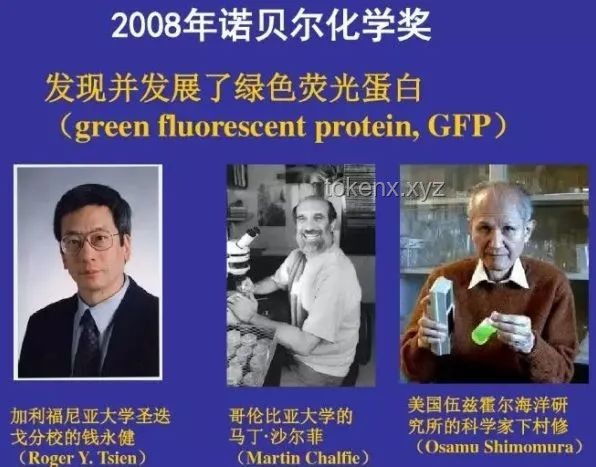 **特朗普政策與錢(qián)學(xué)森故事的對(duì)比分析：人才政策與國(guó)家利益**