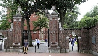 特朗普又輸了？對哈佛政策被叫停的全面對比分析
