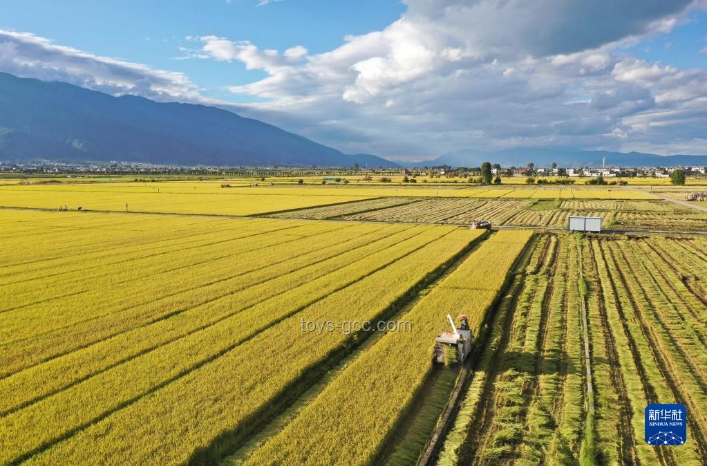 旅游收獲對比：除了照片，你還得到了什么？