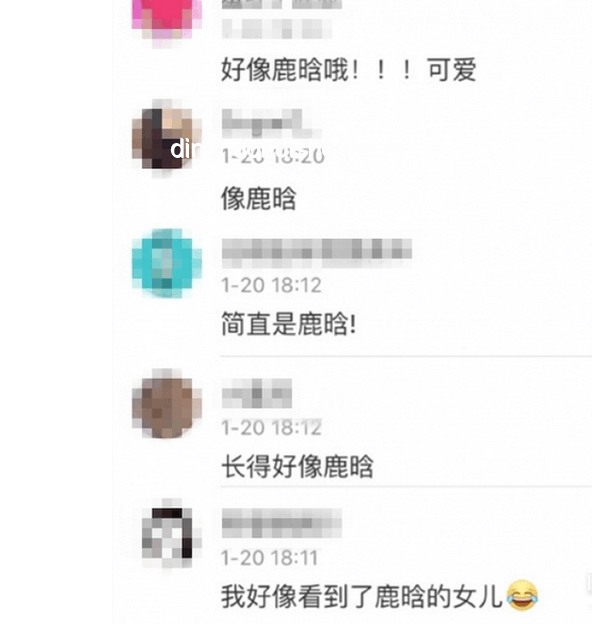 央視2025端午特別節(jié)目與歷年節(jié)目對比分析