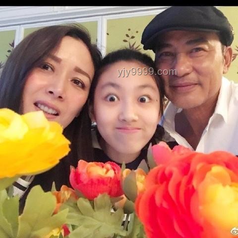 任達(dá)華回應(yīng)女兒繼承30多處房產(chǎn)：合理規(guī)劃，傳承無(wú)憂