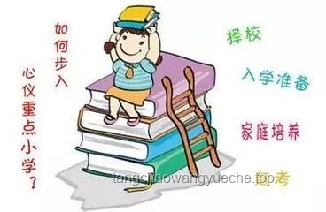 “他們”的心理訴求：從家長(zhǎng)到“救世主”的角色轉(zhuǎn)變深度剖析