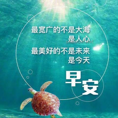 在深淵里起舞，在崩潰中舉杯：探索逆境中的積極心態(tài)與自我救贖