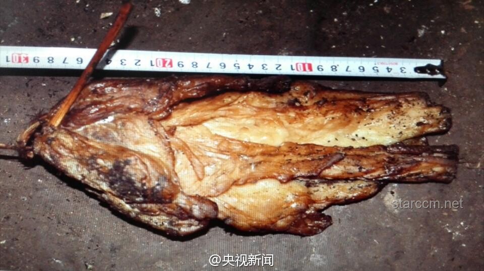 我剝了張“恐龍皮”，烹制了一場思維創(chuàng)新的滿漢全席????
