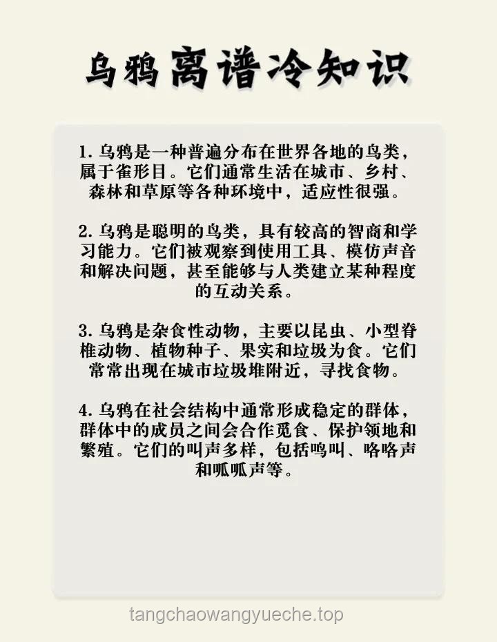 ??反轉(zhuǎn)認(rèn)知：烏鴉——益鳥？害鳥？還是生態(tài)智慧的使者？