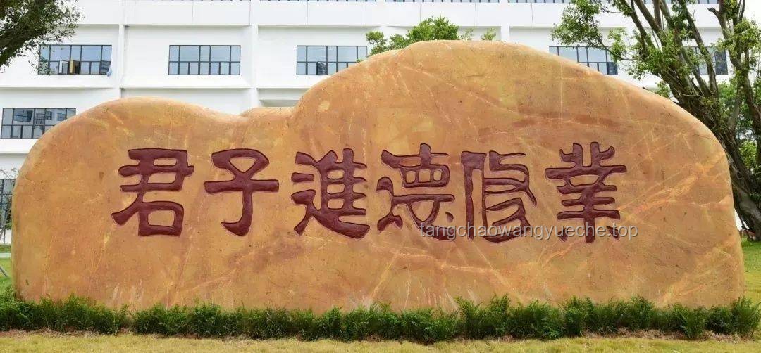 **深圳理工大學(xué)：我的追夢之旅與成長啟示??**