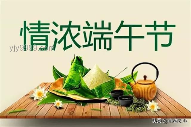 端午補(bǔ)陽新風(fēng)尚：4種“暖陽菜”助力兒童健康成長，營養(yǎng)滿滿！