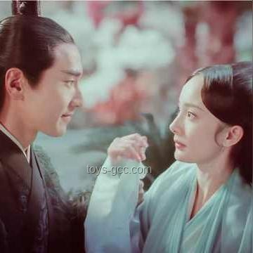 **高圓圓的兩個世界：演藝生涯與日常生活的交融**
