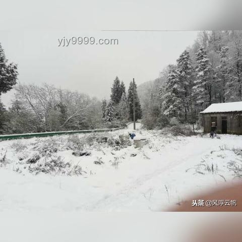 男子花20萬娶妻后發(fā)現(xiàn)女方親戚是演員：如何妥善處理并預(yù)防類似情況