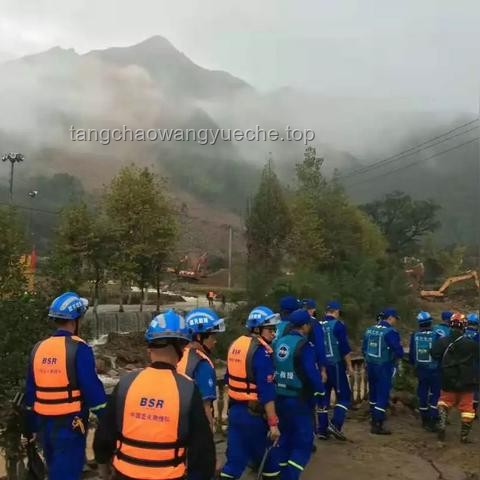 **龍舟賽上劃最快的原來(lái)是救援隊(duì)：一場(chǎng)速度與激情的意外之旅**