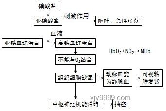 亞硝酸鹽中毒案例警示：藍色尿液背后的健康趨勢與防范策略
