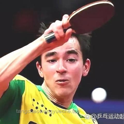 **樊振東與莫雷加德：從對(duì)手到隊(duì)友的榮耀之旅**