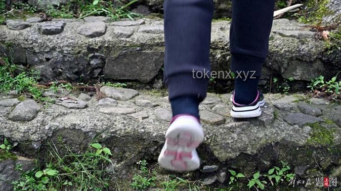 福建8歲男童失蹤近一個(gè)月：全面搜救與預(yù)防策略