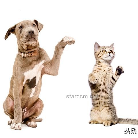 小伙亞硝酸鹽中毒后尿液呈藍色？急救與預防指南