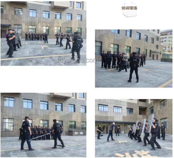 大廈保安索降盜竊億元玉石案：未來法律懲治與安保升級趨勢預測