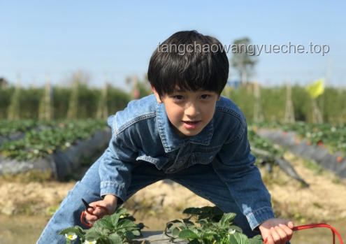 向佐曬女兒正臉照引熱議：星二代萌態(tài)背后的娛樂產(chǎn)業(yè)新趨勢