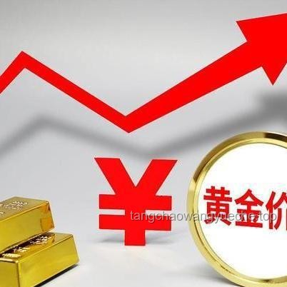 知名黃金機構(gòu)疑爆雷：深度剖析1200萬投資陷阱