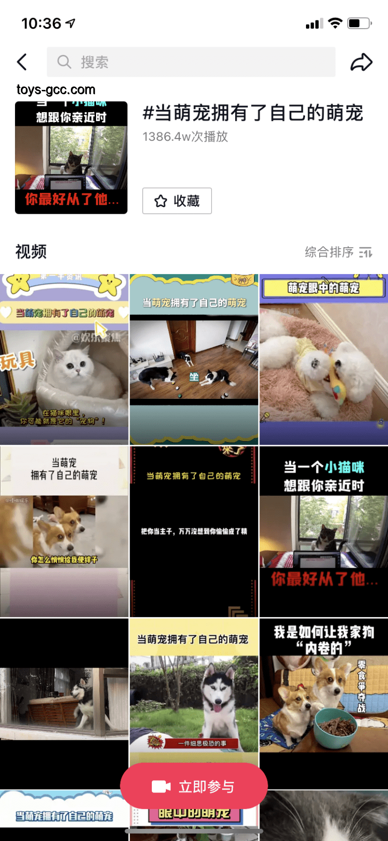 **只同居不婚族的多元軌跡：解鎖生活新范式**